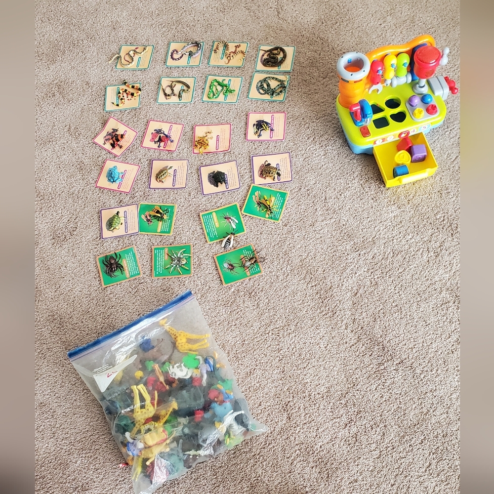 Colorful Animal Cards and Toy Set
